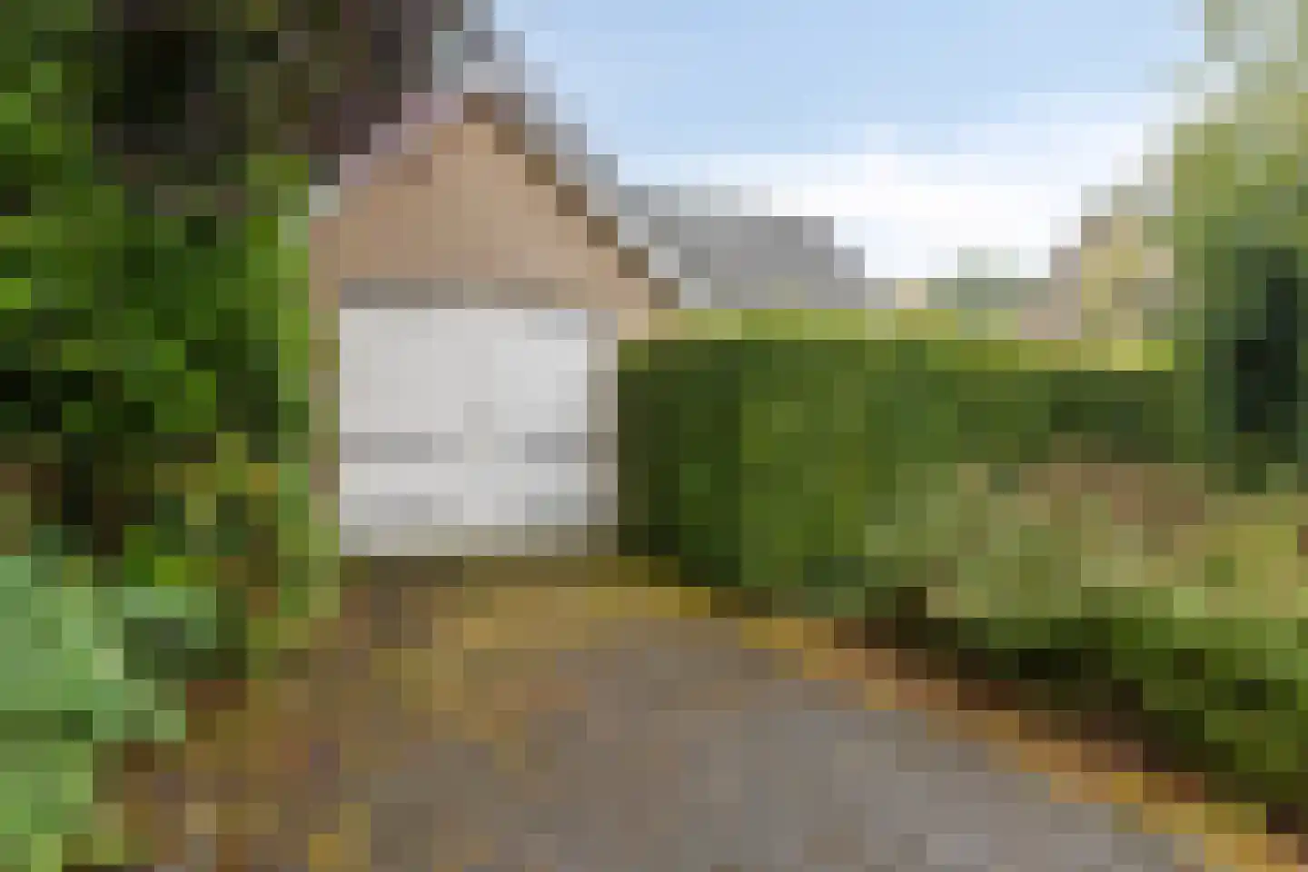 Sleedoorn 51 Geldrop thumbnail 4