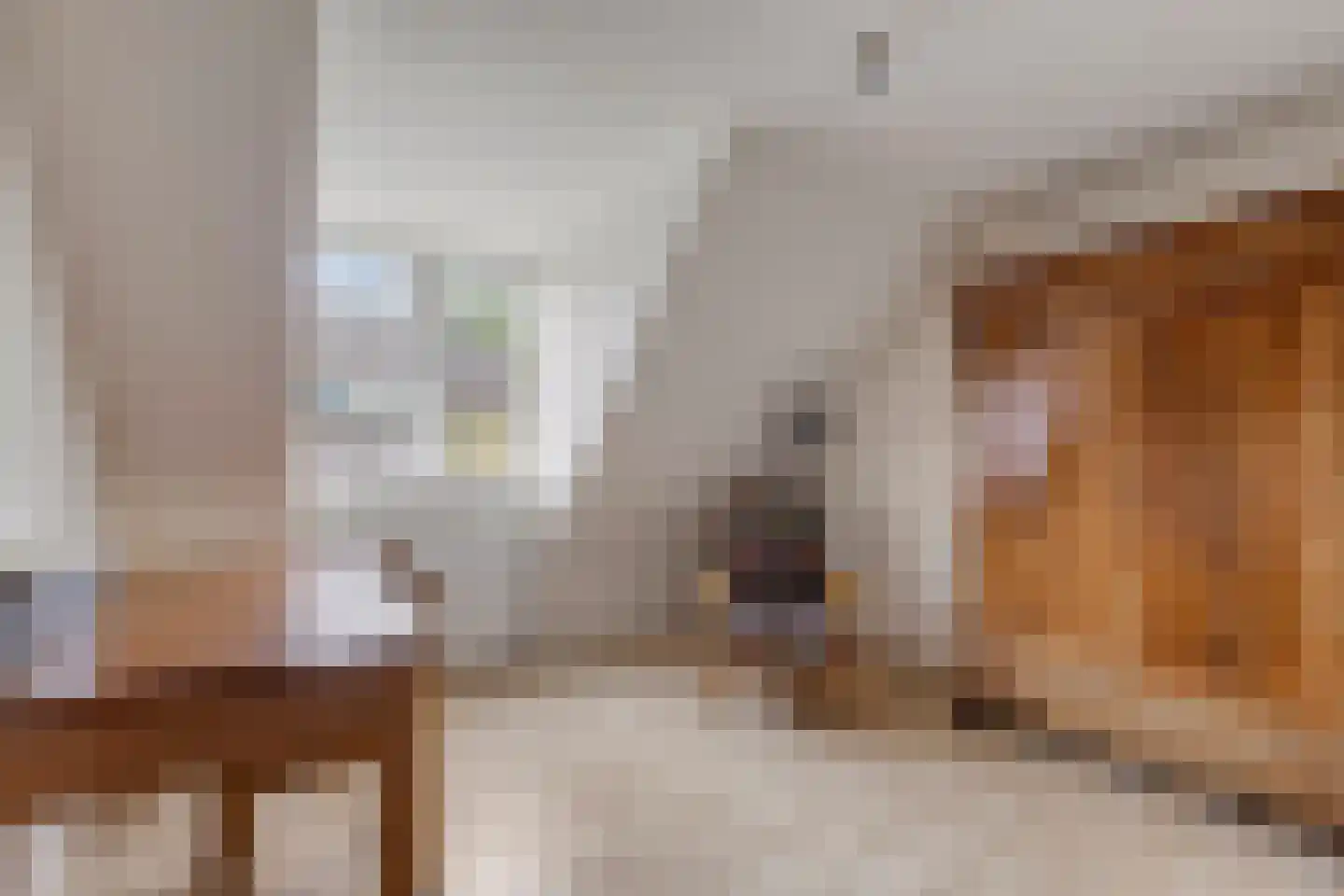 Sleedoorn 51 Geldrop thumbnail 41