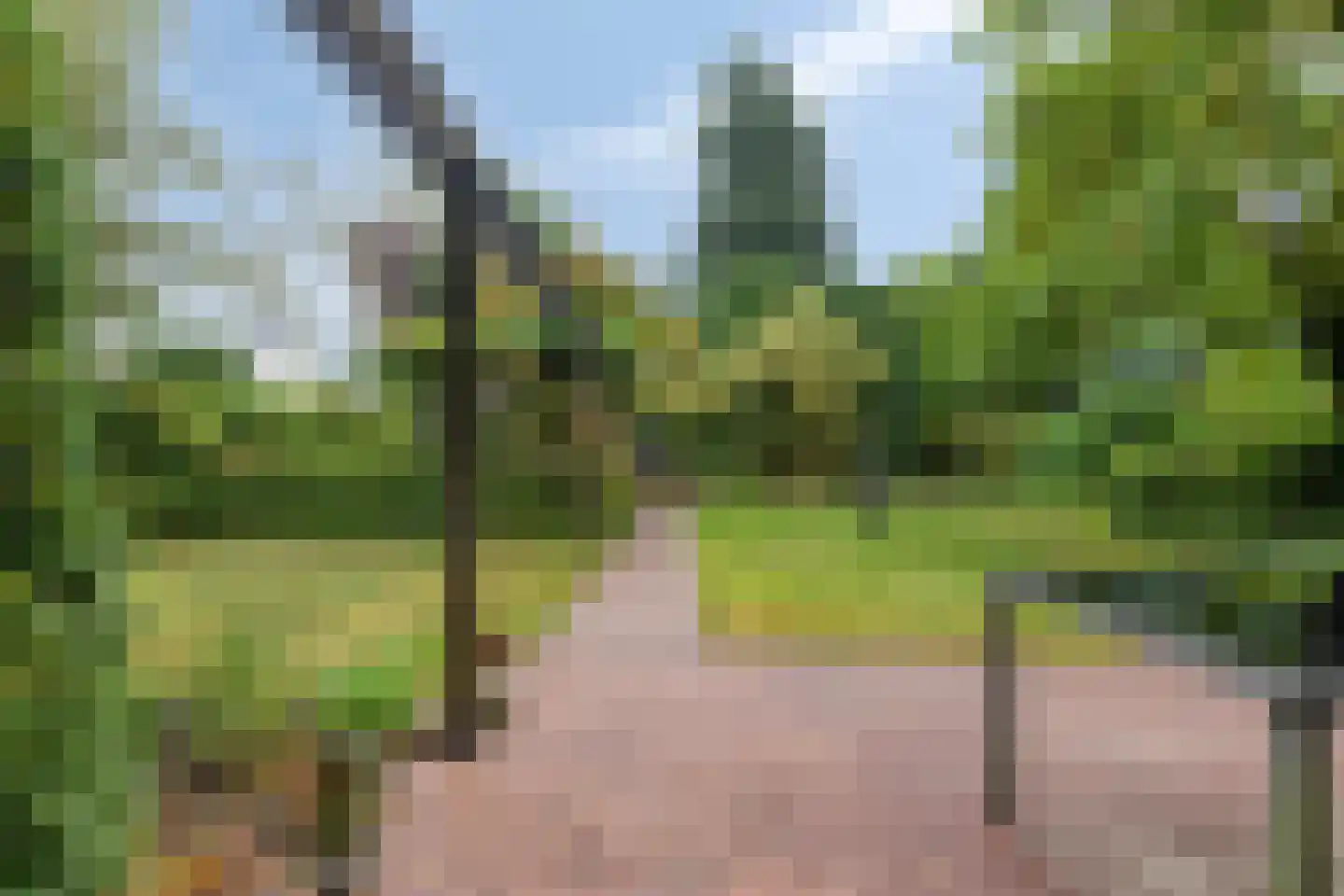 Sleedoorn 51 Geldrop thumbnail 43