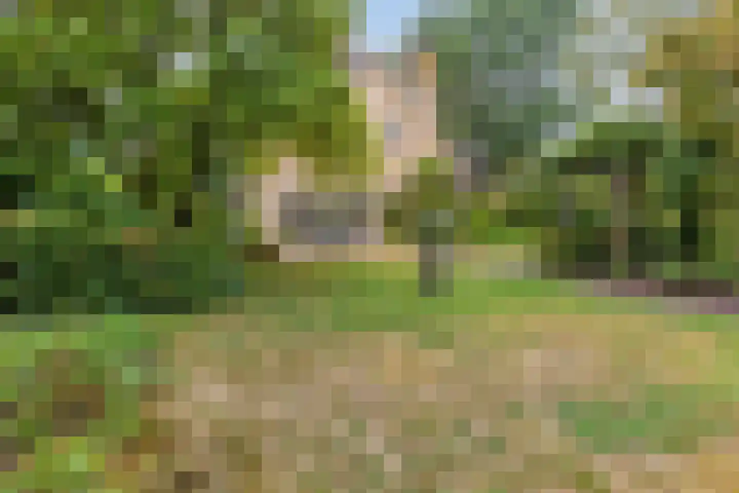 Sleedoorn 51 Geldrop thumbnail 44