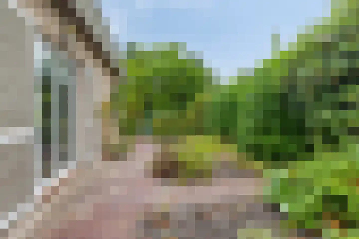 Sleedoorn 51 Geldrop thumbnail 45