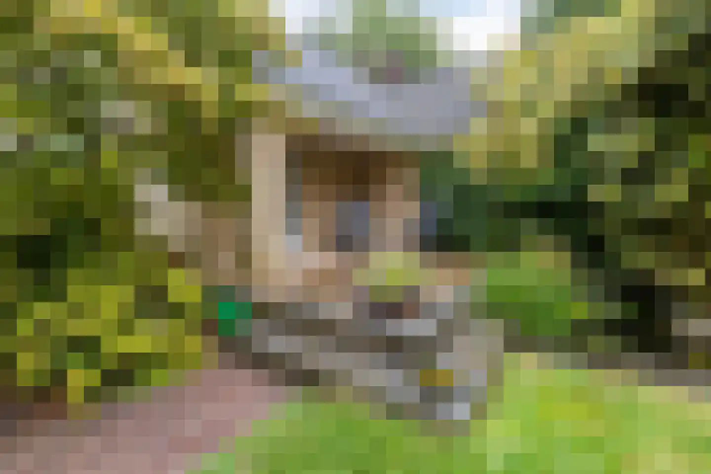 Sleedoorn 51 Geldrop thumbnail 46