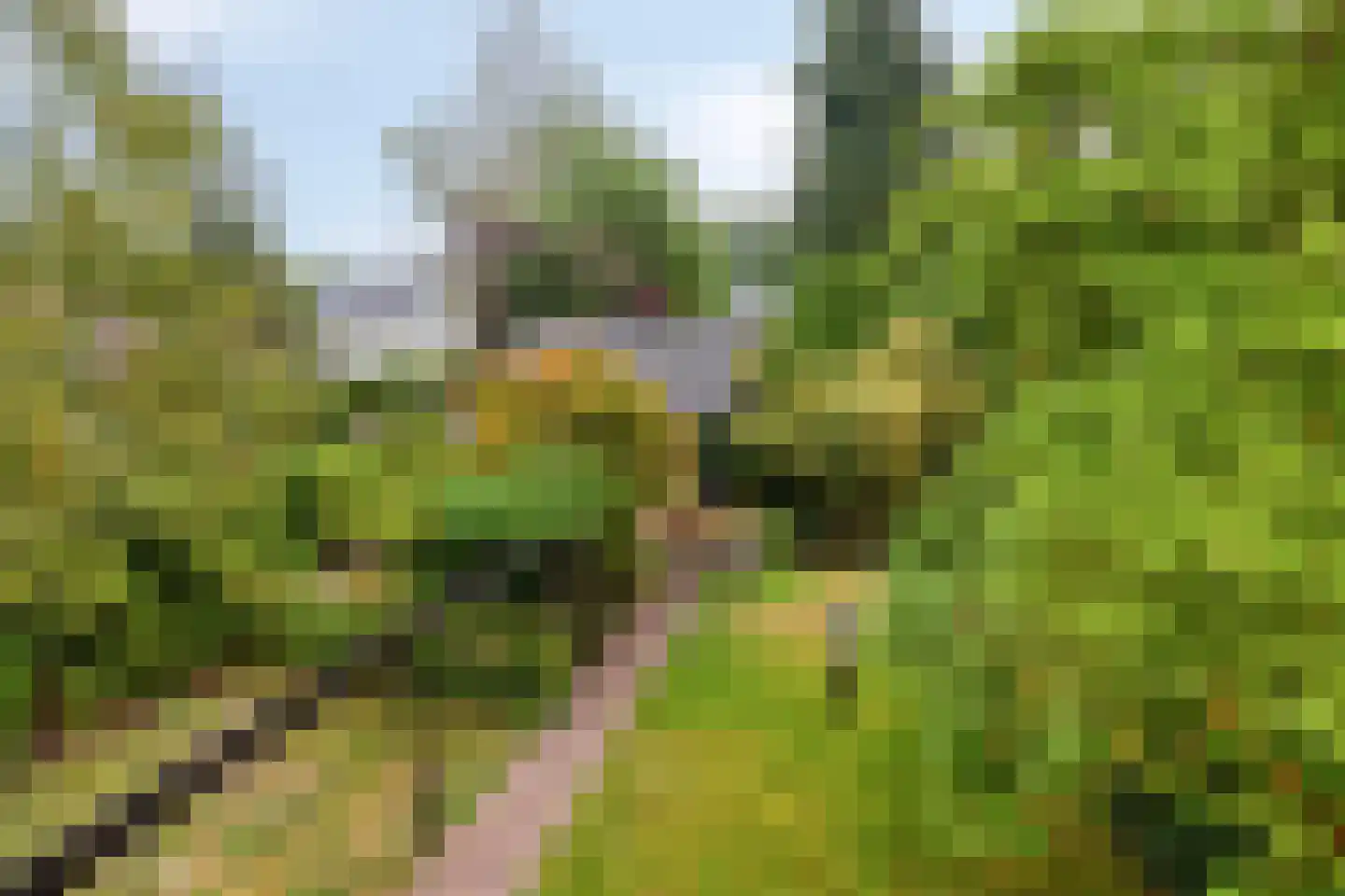 Sleedoorn 51 Geldrop thumbnail 47