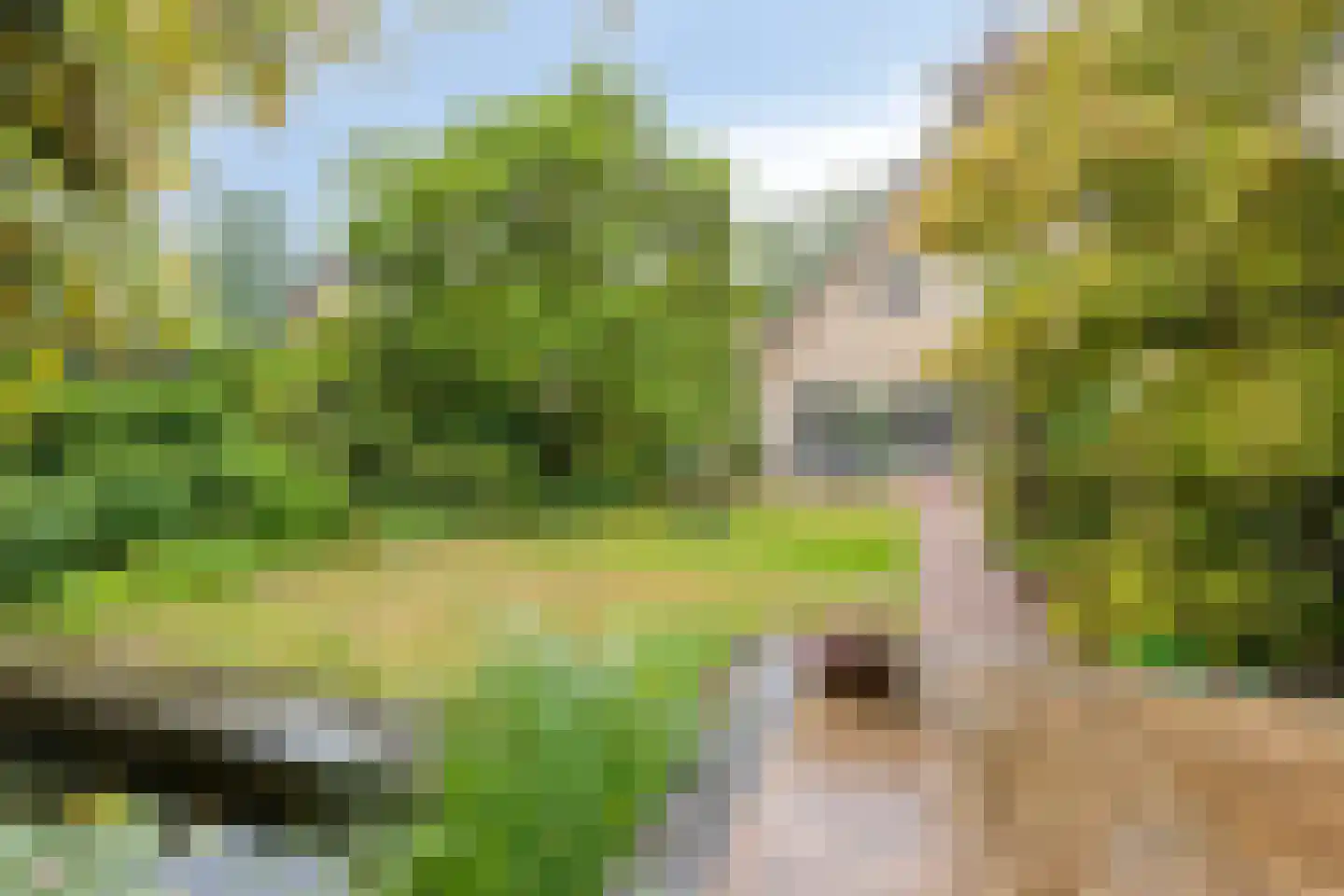 Sleedoorn 51 Geldrop thumbnail 5