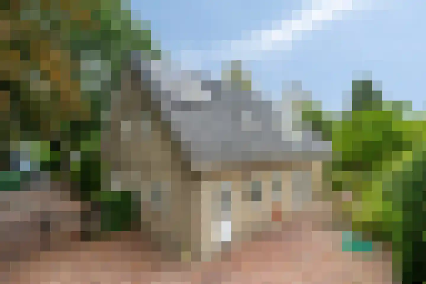 Sleedoorn 51 Geldrop thumbnail 50