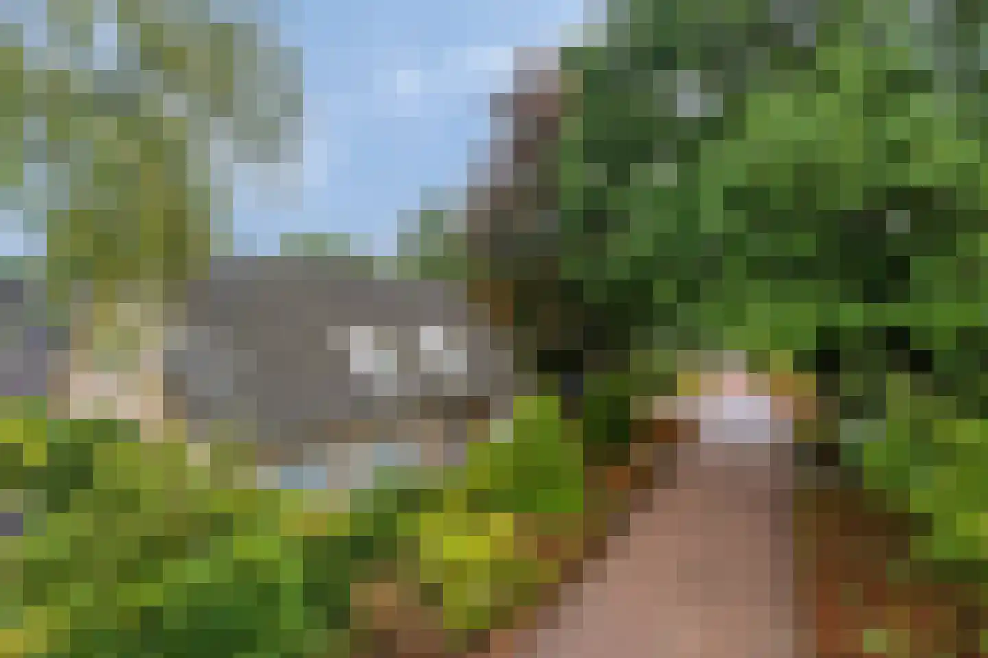 Sleedoorn 51 Geldrop thumbnail 51