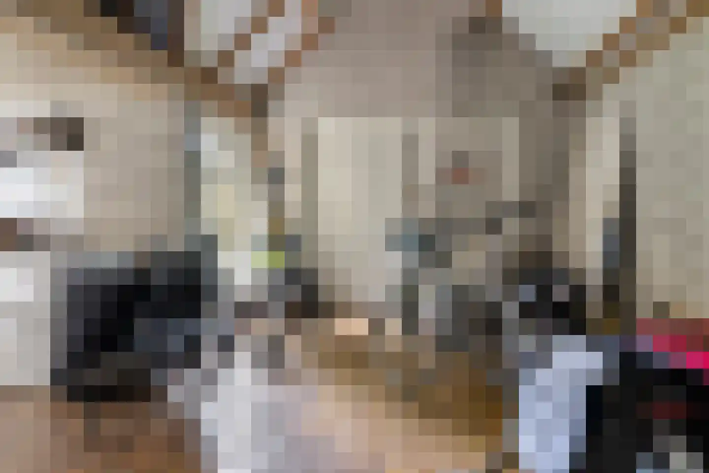 Sleedoorn 51 Geldrop thumbnail 52
