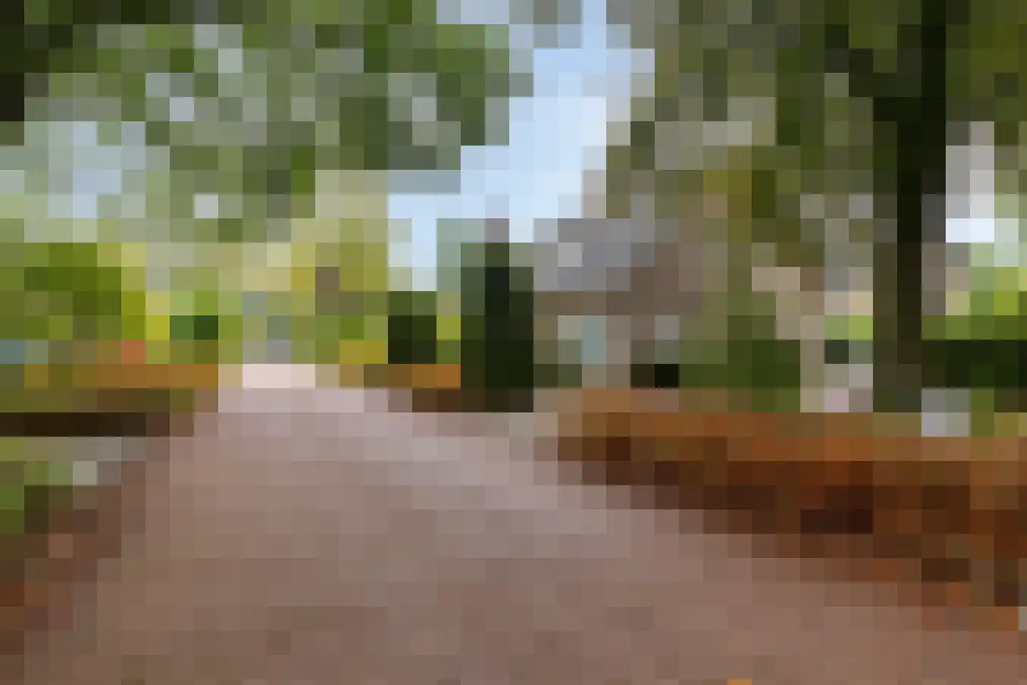 Sleedoorn 51 Geldrop thumbnail 54