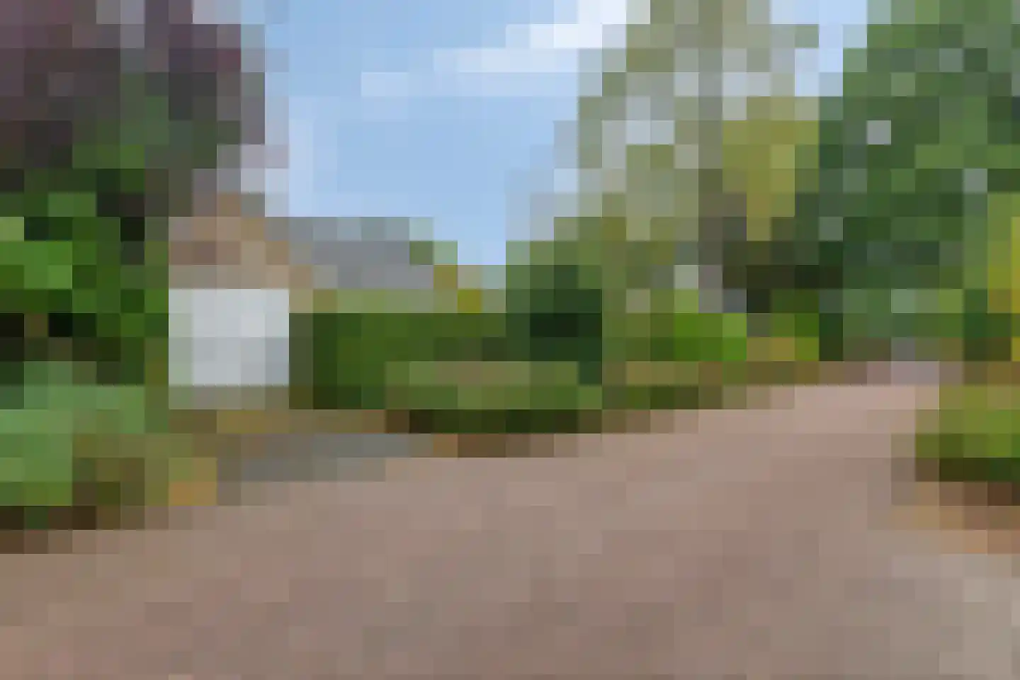 Sleedoorn 51 Geldrop thumbnail 55