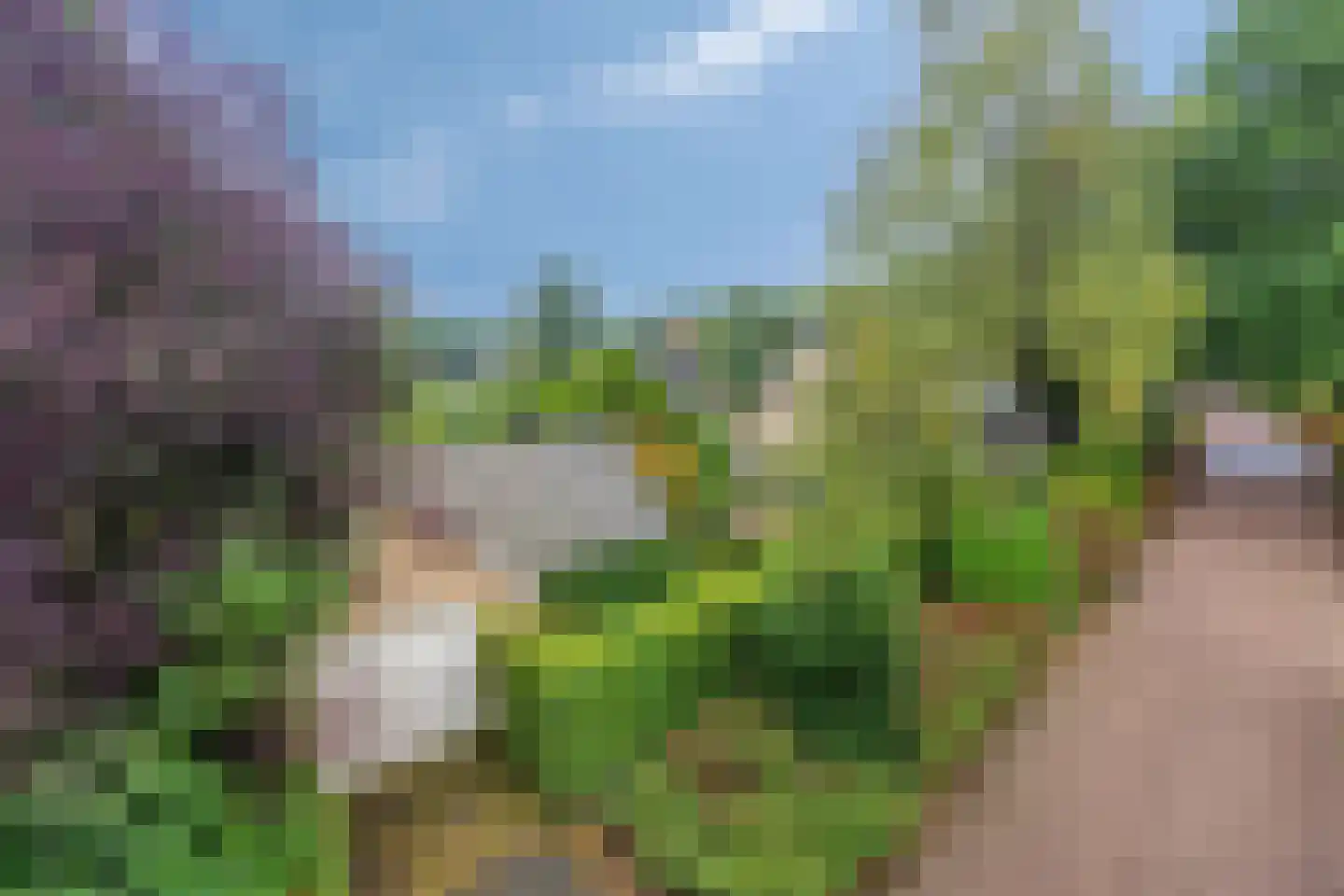 Sleedoorn 51 Geldrop thumbnail 56