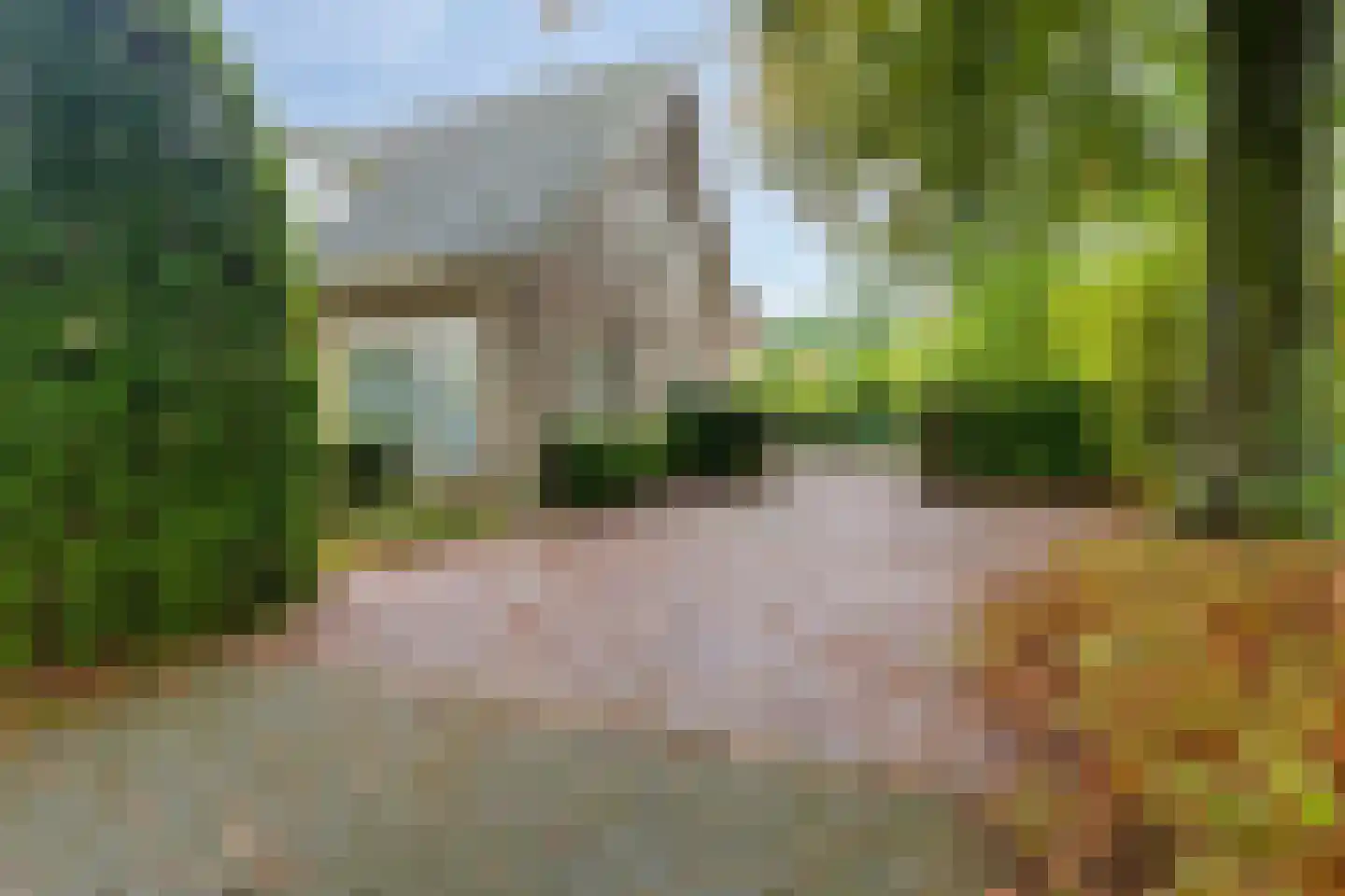 Sleedoorn 51 Geldrop thumbnail 57