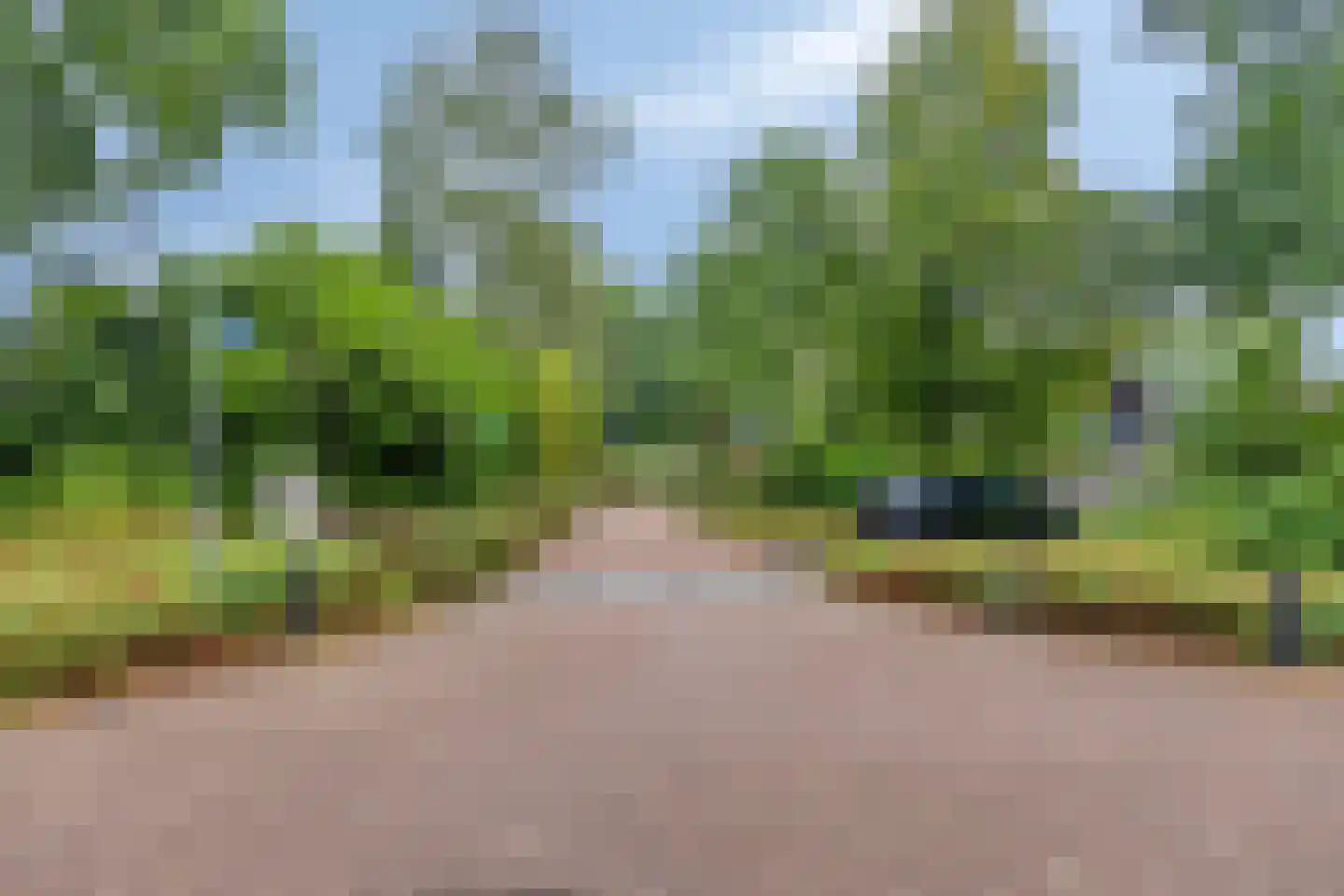 Sleedoorn 51 Geldrop thumbnail 58