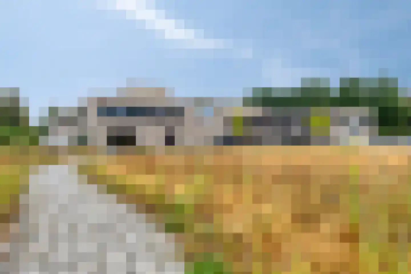 Sleedoorn 51 Geldrop thumbnail 60