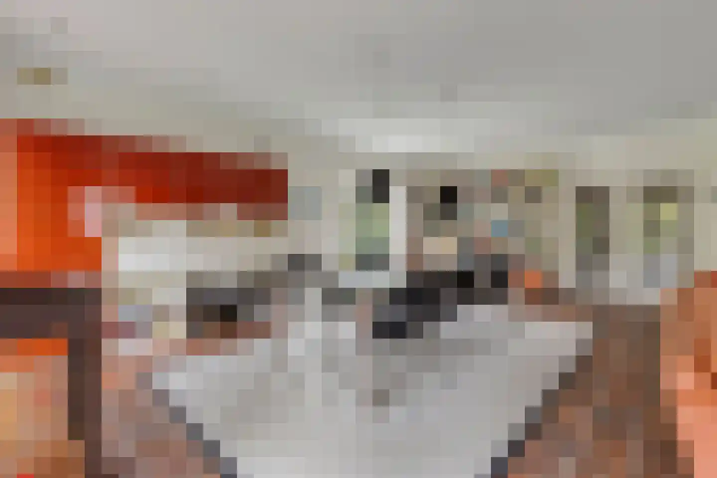 Sleedoorn 51 Geldrop thumbnail 7