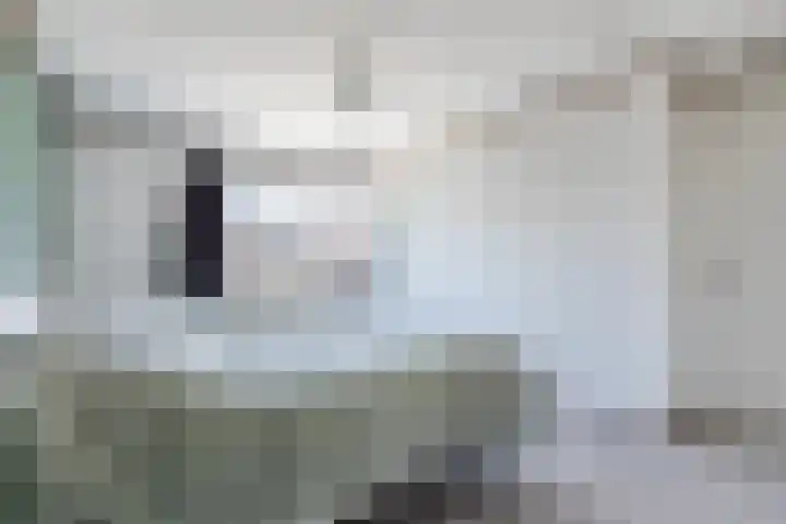 Sleedoorn 53 Cuijk thumbnail 10
