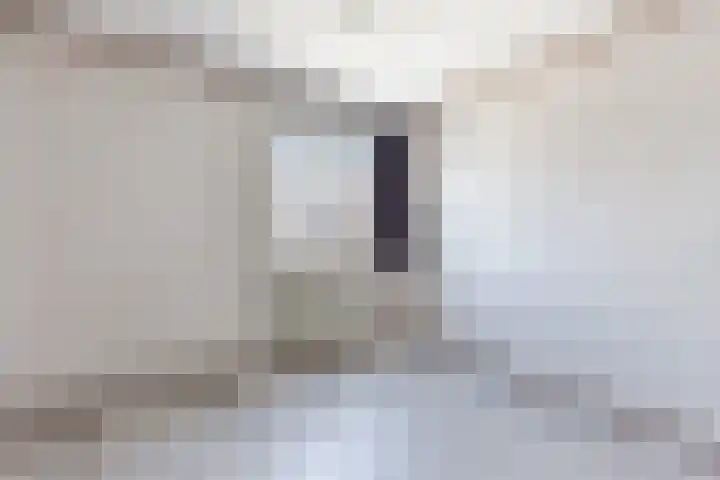 Sleedoorn 53 Cuijk thumbnail 11
