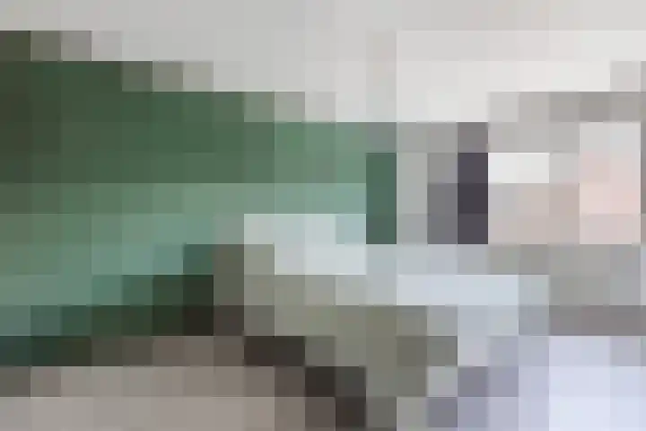 Sleedoorn 53 Cuijk thumbnail 13