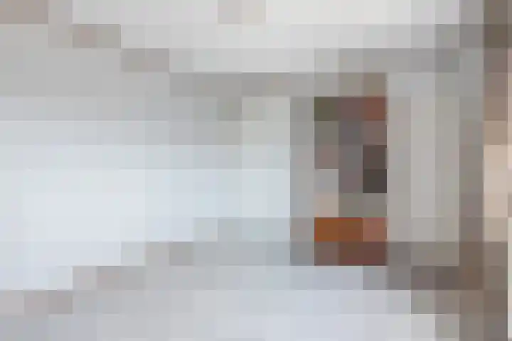 Sleedoorn 53 Cuijk thumbnail 15