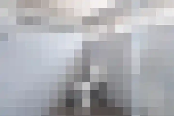 Sleedoorn 53 Cuijk thumbnail 16