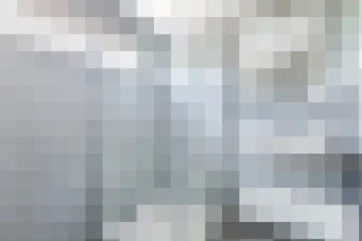 Sleedoorn 53 Cuijk thumbnail 17