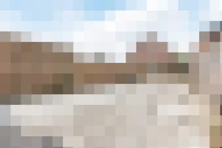 Sleedoorn 53 Cuijk thumbnail 21