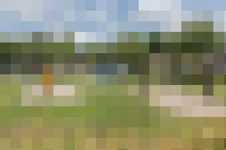 Sleedoorn 53 Cuijk thumbnail 23
