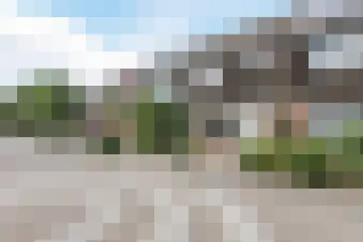 Sleedoorn 53 Cuijk thumbnail 4