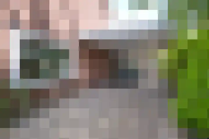Sleedoorn 7 Emmen thumbnail 10