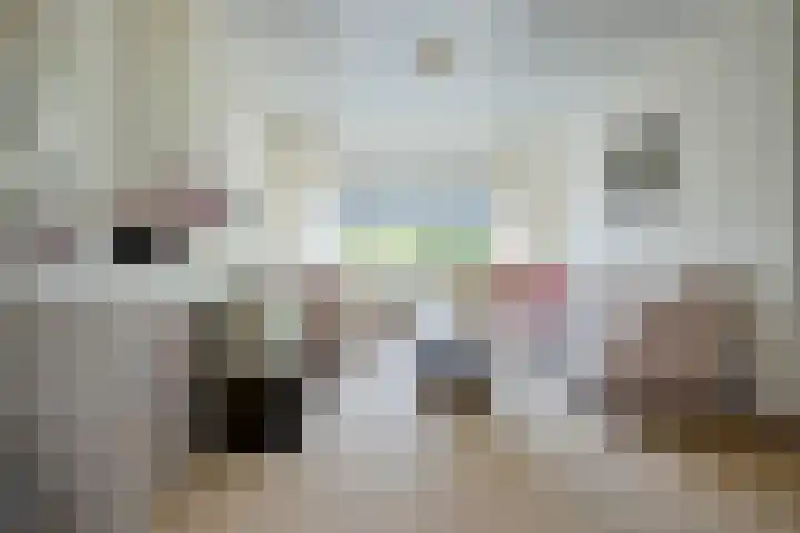 Sleedoorn 7 Emmen thumbnail 15