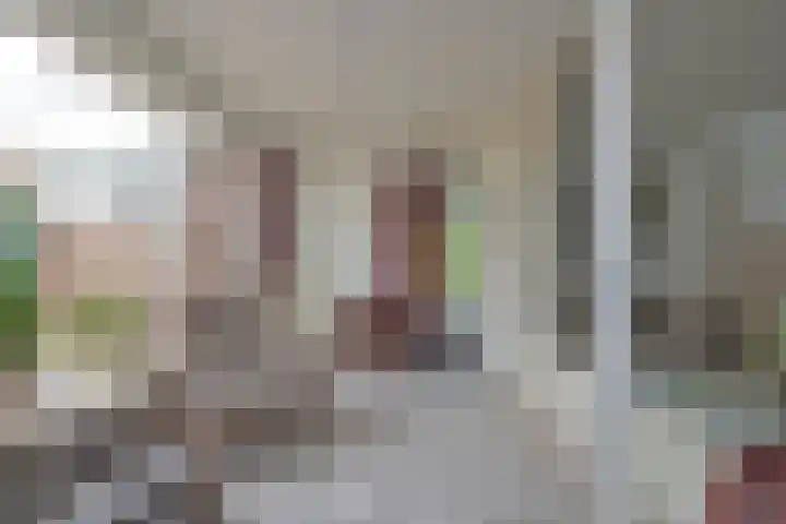 Sleedoorn 7 Emmen thumbnail 22