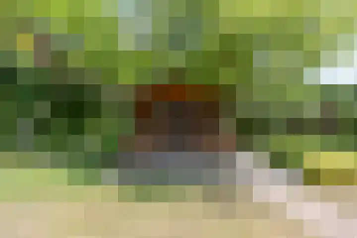 Sleedoorn 7 Emmen thumbnail 34