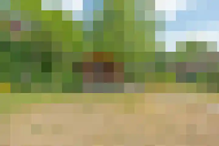 Sleedoorn 7 Emmen thumbnail 37