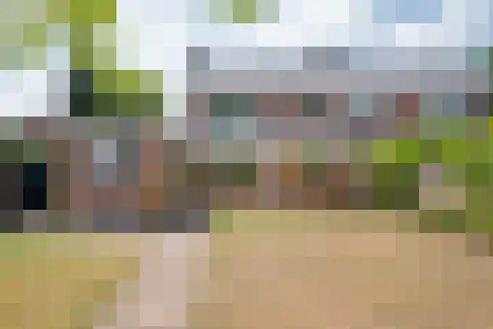 Sleedoorn 7 Emmen thumbnail 4