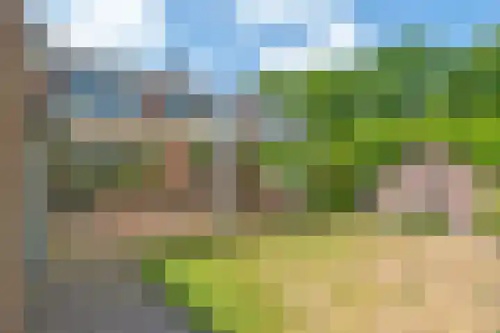 Sleedoorn 7 Emmen thumbnail 40