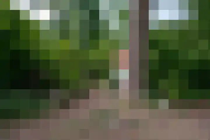 Sleedoorn 7 Emmen thumbnail 46
