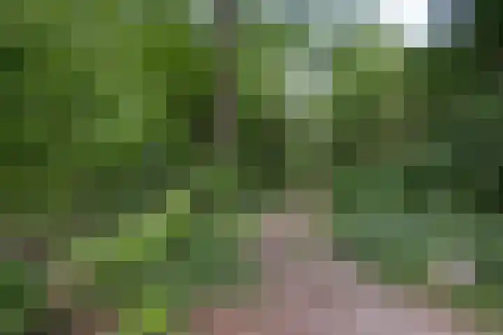 Sleedoorn 7 Emmen thumbnail 47