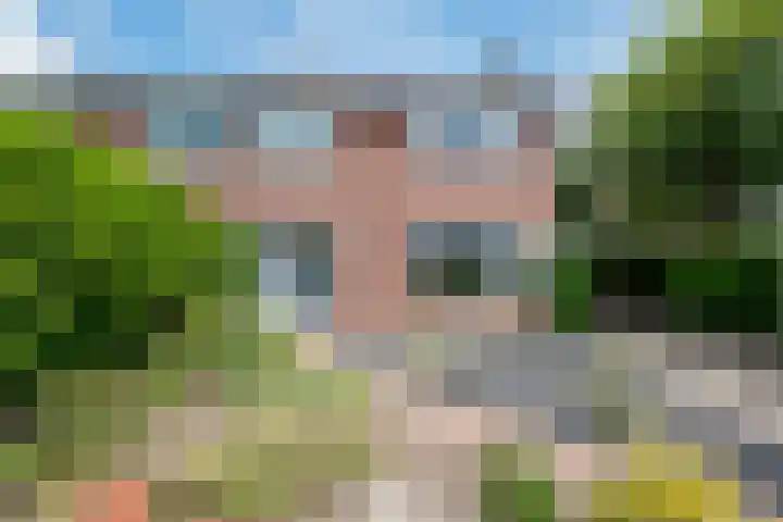 Sleedoorn 7 Emmen thumbnail 5