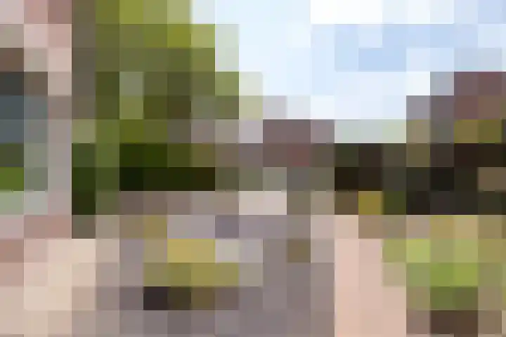 Sleedoorn 7 Emmen thumbnail 7
