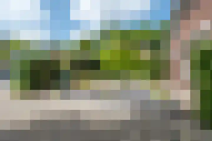 Sleedoorn 7 Emmen thumbnail 8