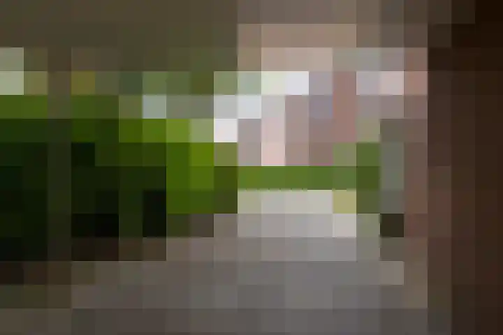 Sleedoorn 7 Emmen thumbnail 9