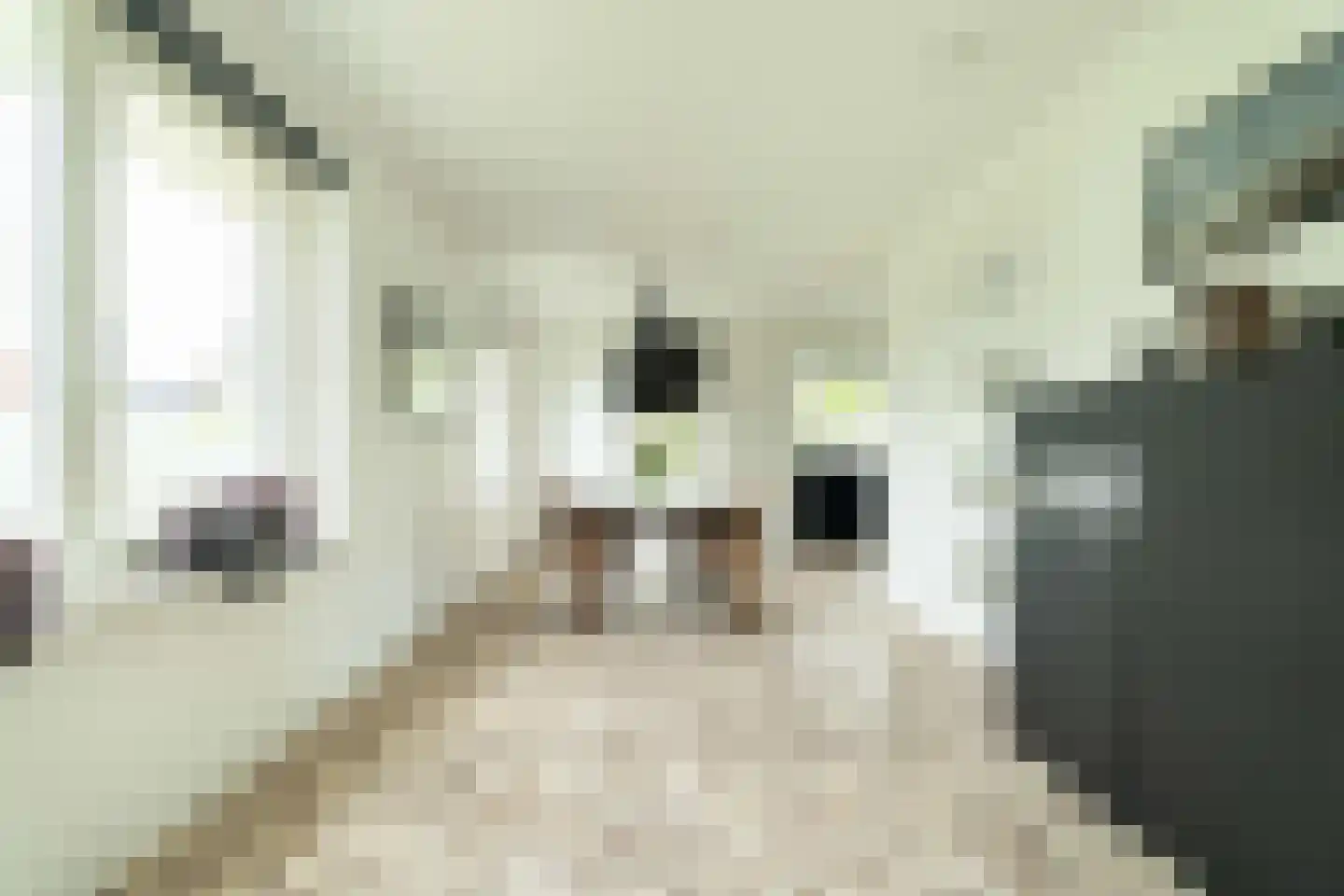 Sleedoorn 7 Heiloo thumbnail 10