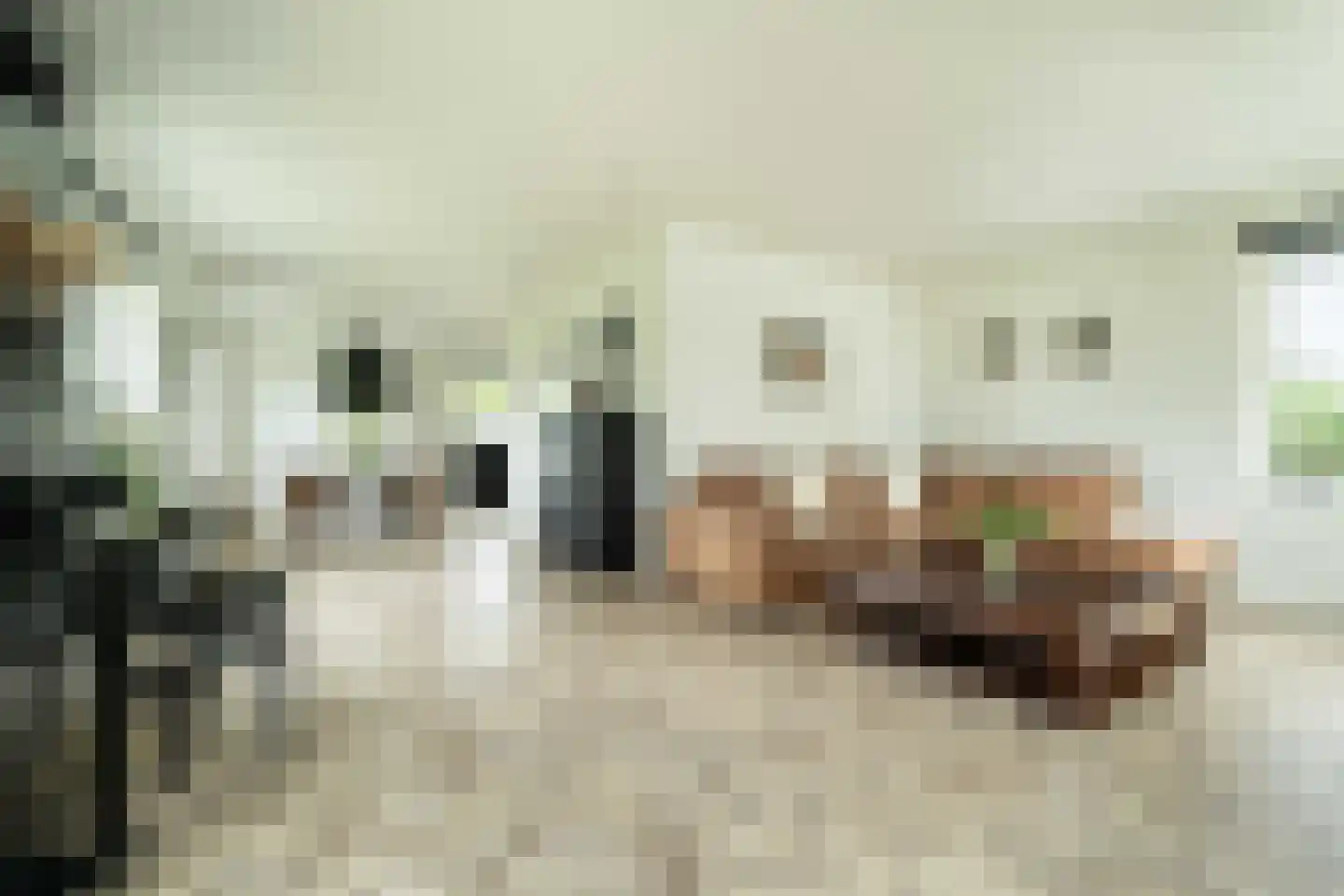 Sleedoorn 7 Heiloo thumbnail 10