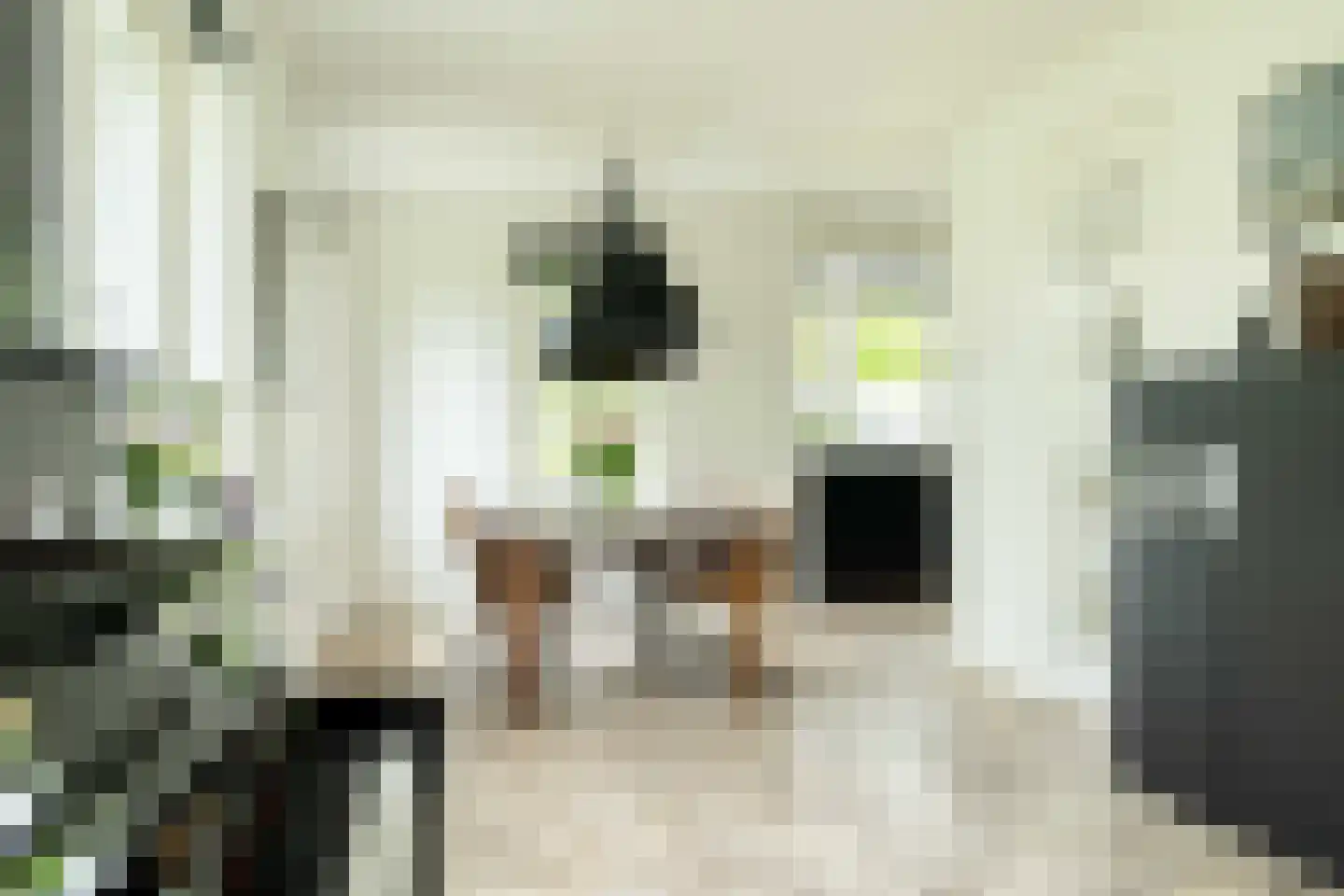 Sleedoorn 7 Heiloo thumbnail 12