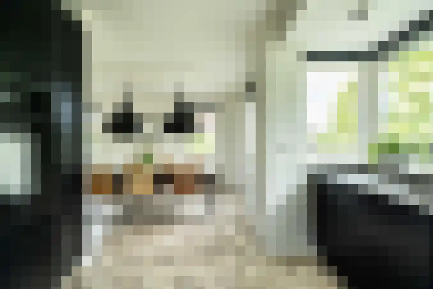 Sleedoorn 7 Heiloo thumbnail 16