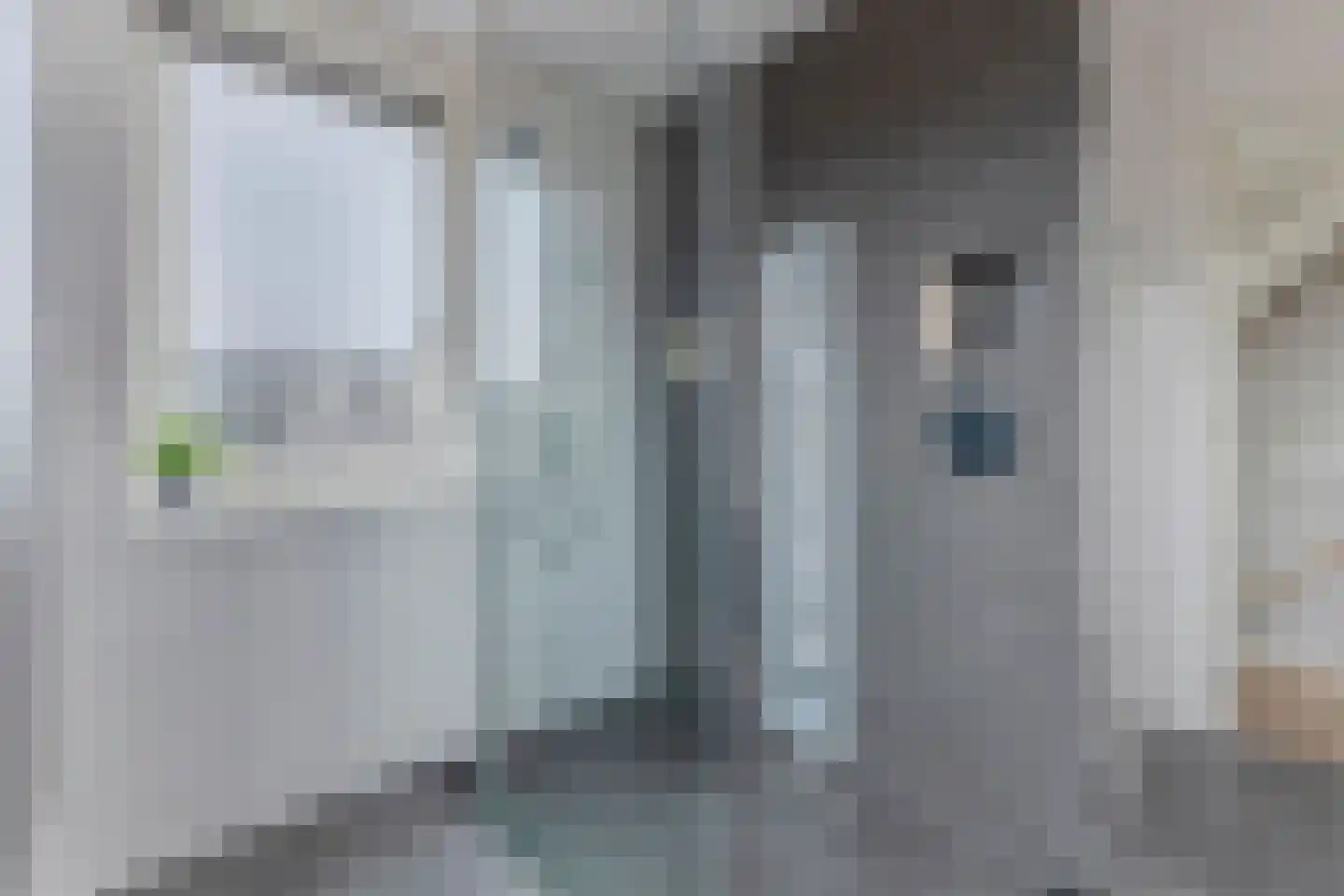 Sleedoorn 7 Heiloo thumbnail 19