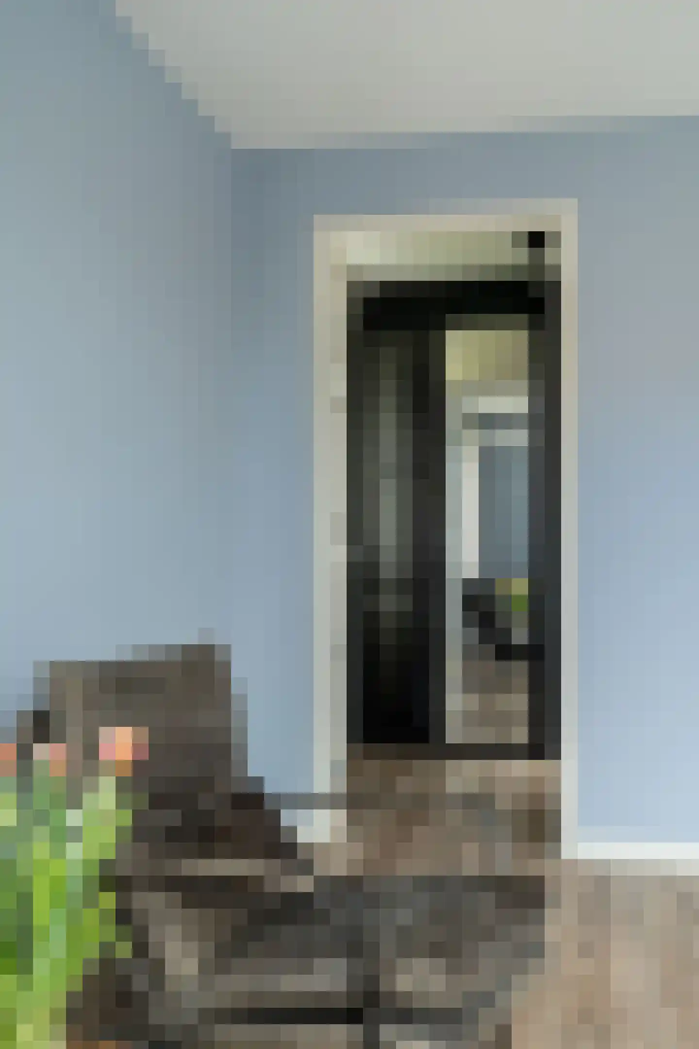 Sleedoorn 7 Heiloo thumbnail 22