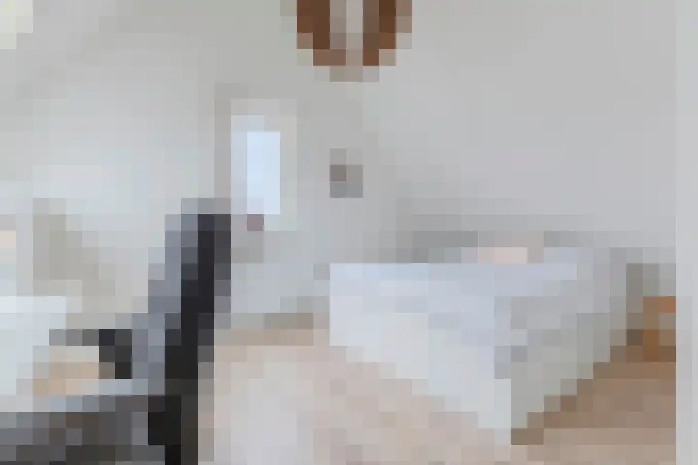 Sleedoorn 7 Heiloo thumbnail 25