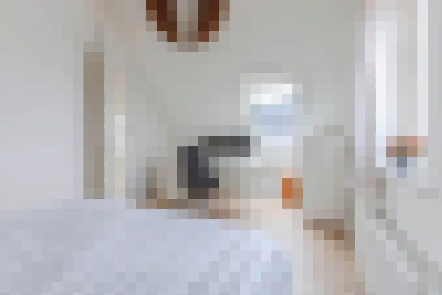 Sleedoorn 7 Heiloo thumbnail 26