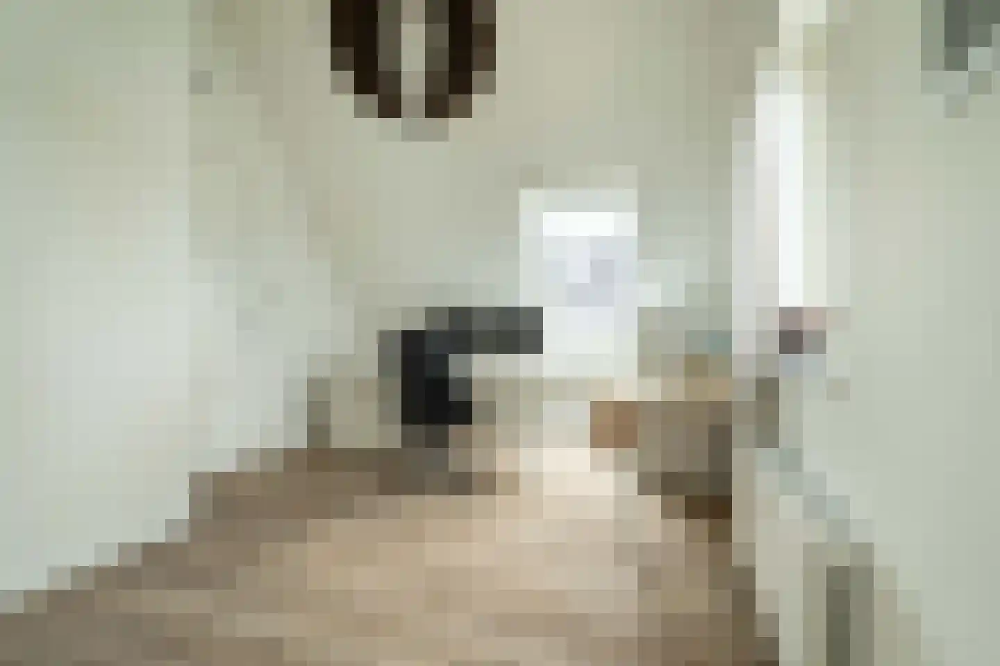 Sleedoorn 7 Heiloo thumbnail 33