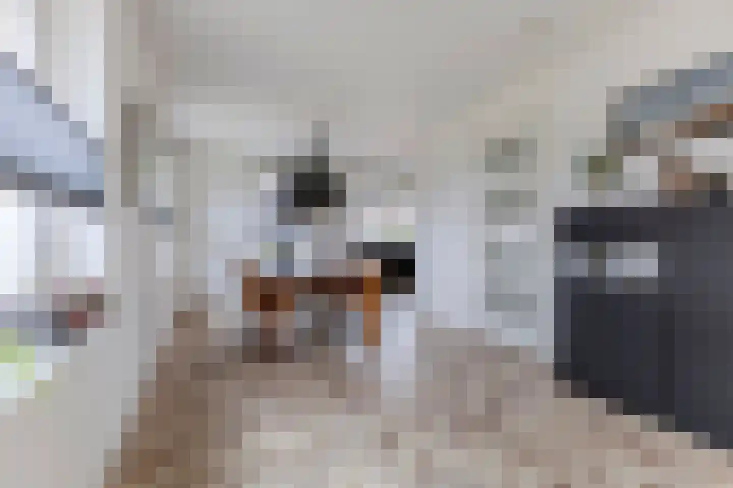 Sleedoorn 7 Heiloo thumbnail 6